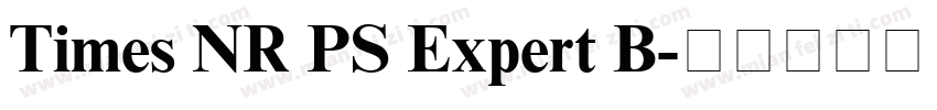 Times NR PS Expert B字体转换